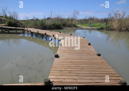 Israël, Maagan Michaël Michael, Nahal Taninim - parc national de la rivière Crocodile, l'ancien aqueduc romain et périphérique floodgate Banque D'Images