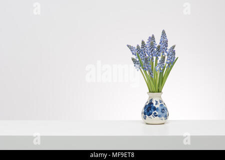 Bouquet de petits muscaris bleus dans un intérieur blanc, sur un plateau blanc sur un fond blanc dans un vase bleu delfts Banque D'Images