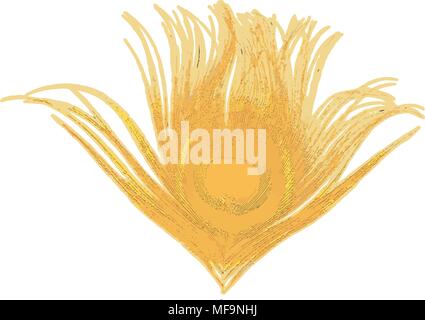 Vector illustration de plume de paon d'or Illustration de Vecteur