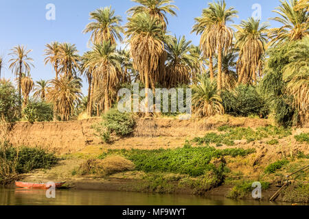 Paysage dans le centre du Soudan, Afrique Banque D'Images