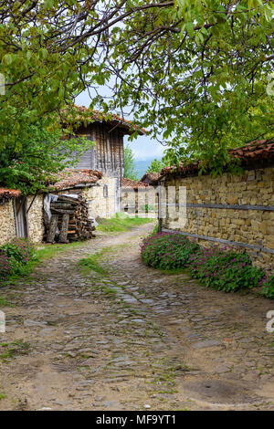 Zheravna, Bulgarie - route pavées et maisons rustiques encadrée dans le noyer (Juglans regia) branches avec bigroot géranium sanguin (Geranium macrorrhiz Banque D'Images