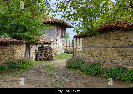 Zheravna, Bulgarie - route pavées et maisons rustiques encadrée dans le noyer (Juglans regia) branches avec bigroot géranium sanguin (Geranium macrorrhiz Banque D'Images