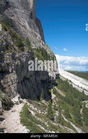 Vue du sentier 526A sous les falaises de l'Langkofel près de Piz Sella au-dessus de Selva Val Gardena Dolomites Italie Banque D'Images