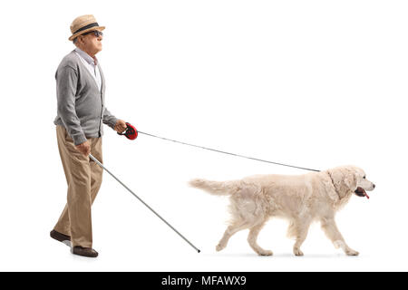 Profil complet tiré d'un blind man walking avec l'aide d'un chien isolé sur fond blanc Banque D'Images