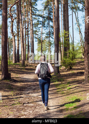 Femme marche dans une forêt. Banque D'Images