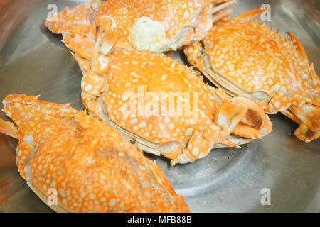 Une cuisine traditionnelle et de l'alimentation, à la vapeur de crabe bleu. L'un des plus célèbres dans le monde de la mer. Banque D'Images