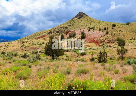 Amérique du Nord, Etats-Unis, New York, Centre de l'Oregon, Redmond, Bend, Mitchell. Série de petites collines d'argile rayé de bandes colorées de minéraux, et frêne Banque D'Images