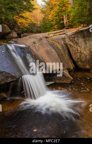 Petite cascade sur la rivière Bear, Grafton Notch State Park, Maine Banque D'Images