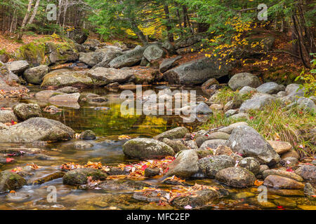 Feuillage d'automne reflètent dans la rivière Bear, Grafton Notch State Park, Maine Banque D'Images