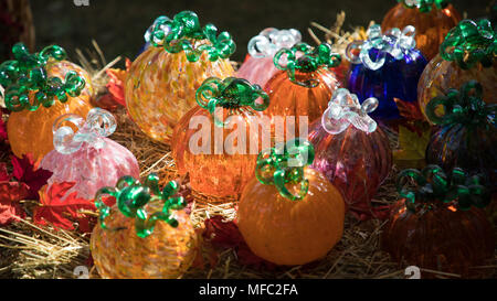 En verre soufflé de couleur plusieurs citrouilles illuminées par bien disposés dans un cadre rural avec le foin et les feuilles d'érable. Banque D'Images