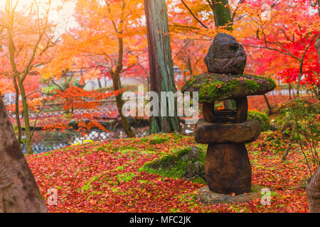 Toro de la lanterne de pierre japonais traditionnel dans un magnifique parc d'érable rouge Banque D'Images