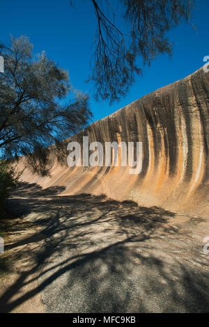 Wave Rock, la formation de granit strié dans le blé de l'ouest de l'Australie de la courroie Banque D'Images
