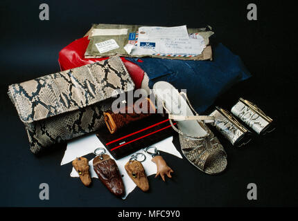 Produits reptiles importés illégalement d'Asie du sud-est Banque D'Images