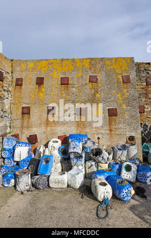 Des casiers à homard et crabe de vieux fûts bleu untidily empilés contre le mur du port à Slade dans le comté de Wexford, Irlande. Banque D'Images