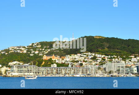 Chaffers Marina dans le port de Wellington, NZ, à jusqu'à Mt Victoria et St Gerard's Banque D'Images