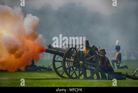 19 avril 2018, à Hyde Park, Londres. La Troupe du Roi Royal Horse nique de HM La reine 92e anniversaire. Banque D'Images