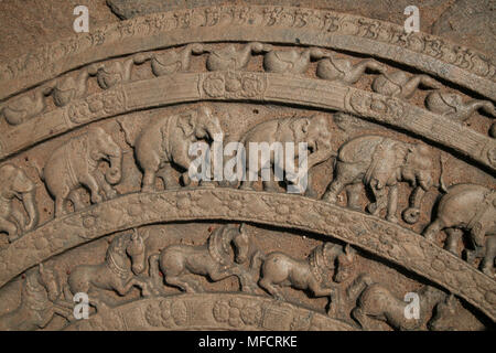 Les éléphants sculptés dans la pierre de lune à l'entrée du temple bouddhiste. La ville ancienne de Polonnaruwa, Sri Lanka Banque D'Images