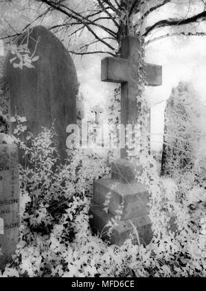 Un port infrarouge shot of old, pierres tombales victorien recouvert de lierre. Banque D'Images