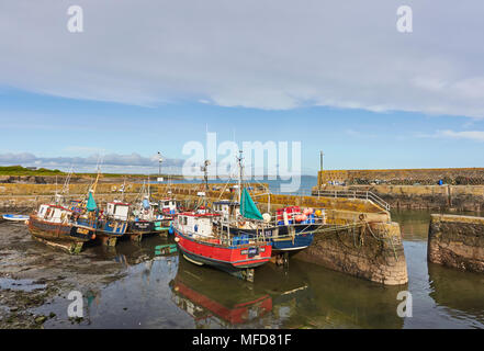 L'entrée du port intérieur à Slade Harbour, un petit village de pêcheurs dans le comté de Wexford, Irlande du Sud, avec les bateaux de pêche se trouvant sur la vase. Banque D'Images