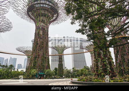 La vue rapprochée de l'angle faible des arbres dans des jardins par Super la baie avec certaines personnes appréciant dans le parc, le Marina Bay Sands en arrière-plan Banque D'Images