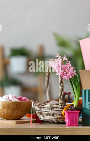 Prix de l'image d'un fleuriste avec guimauve, coffrets cadeaux Banque D'Images