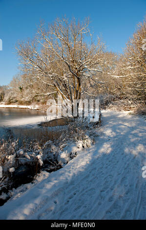 La Barden Lake gelé, à Tonbridge, Kent, Royaume-Uni pendant la période de froid de l'hiver 2018 Banque D'Images