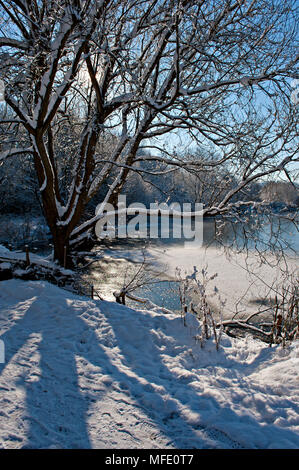 La Barden Lake gelé, à Tonbridge, Kent, Royaume-Uni pendant la période de froid de l'hiver 2018 Banque D'Images