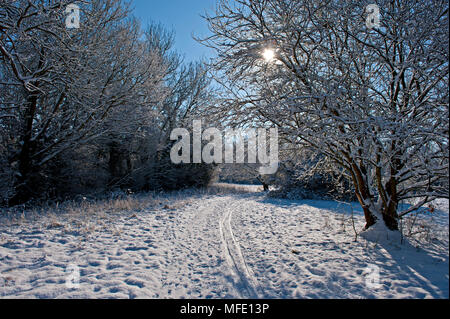 Sentier couvert de neige dans le parc Haysden, Tonbridge, Kent Banque D'Images