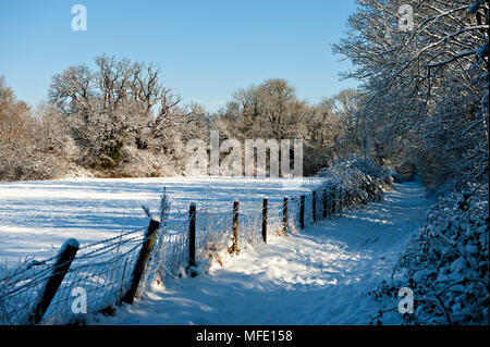 Sentier couvert de neige dans le parc Haysden, Tonbridge, Kent Banque D'Images