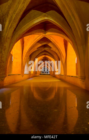 Les bains historique, Los Baños de Doña María de Padilla, l'Alcazar, Palais Royal de Séville, Séville, Espagne Banque D'Images