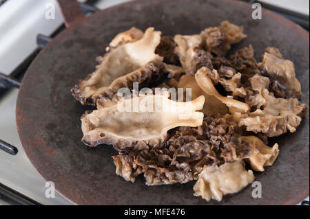 La cuisine d'être frugal morilles poêlées au beurre de conserver la saveur, coupé en deux et lavées avant chauffage acier solide sur plus de tawa tava flamme de gaz. Banque D'Images