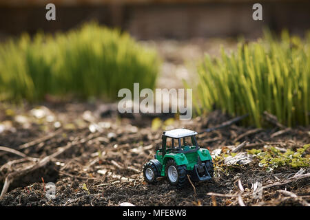 Tracteur jouet sur fond d'herbe verte . Semis de printemps, travaux publics Banque D'Images