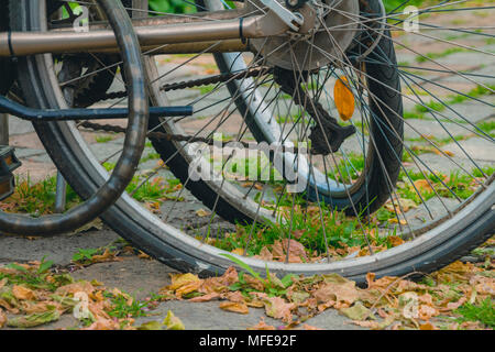 Les roues de bicyclette avec beaucoup de feuilles sèches sur la chaussée de la journée d'automne. Banque D'Images