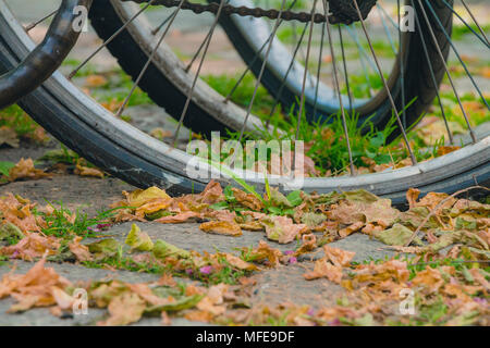 Les roues de bicyclette avec beaucoup de feuilles sèches sur la chaussée de la journée d'automne. Banque D'Images