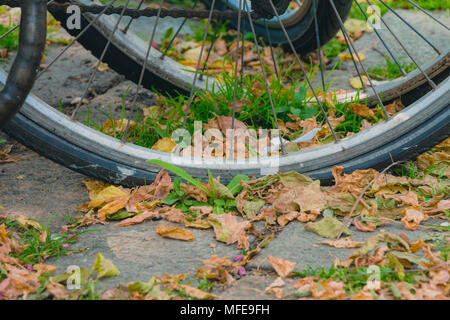 Les roues de bicyclette avec beaucoup de feuilles sèches sur la chaussée de la journée d'automne. Banque D'Images