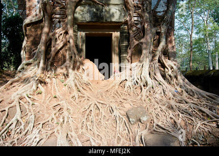 Sanctuaire Prasat Pram plus au sud sur le côté ouest il a cinq tours ou prasats (pram  = 5). Trois tours de brique dans une rangée sur la même plate-forme. Banque D'Images