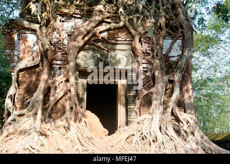 Sanctuaire Prasat Pram plus au sud sur le côté ouest il a cinq tours ou prasats (pram  = 5). Trois tours de brique dans une rangée sur la même plate-forme. Banque D'Images