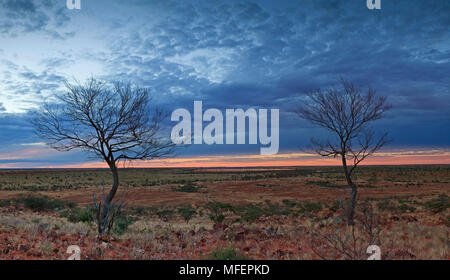 Deux arbres morts Mulga (Acacia) anurea sur ocky crête surplombant Vieux marais Andado après le coucher du soleil, les vieux Andado, Territoire du Nord, Australie Banque D'Images