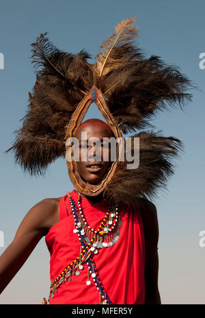 Guerrier masaï ( un "oran') portant une coiffe de plumes d'autruche, au Kenya. Banque D'Images