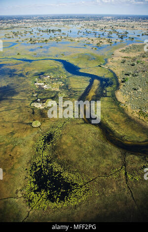 Vue aérienne des îles et les voies d'Okovango centrale située dans le Delta, au Botswana. Date : 18.12.2008 ref : 126466 ZB538  0016 Scolarité obligatoire Banque D'Images