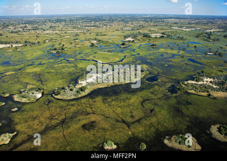 Vue aérienne des îles et les voies d'Okovango centrale située dans le Delta, au Botswana. Date : 18.12.2008 ref : 126466 ZB538  OBLIGATOIRE 0017 Banque D'Images