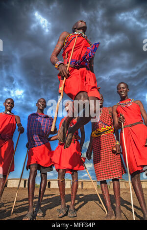 Guerriers Masai faisant danse traditionnelle. Un cercle est formé et un ou deux guerriers entrera dans le cercle pour sauter tout en conservant une posture droite Banque D'Images