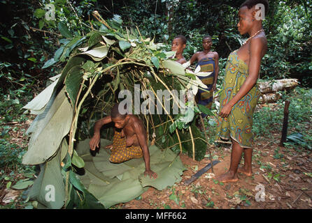 Les femmes pygmées Baka construction d'une hutte traditionnelle, en utilisant quitte le Cameroun et République Centrafricaine Banque D'Images