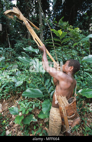 La tribu de pygmées Baka de la chasse avec arbalète de subsistance (hunter) Cameroun et République Centrafricaine Banque D'Images