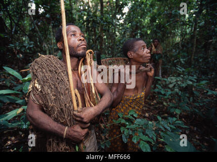 La tribu de pygmées Baka chasseurs de subsistance avec net utilisé dans la chasse au filet traditionnel Cameroun et République Centrafricaine Banque D'Images