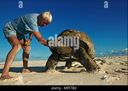 Tortue d'Aldabra Geochelone gigantea Cousine Island, Seychelles. Les espèces vulnérables. Banque D'Images