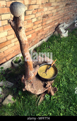 Purée d'ortie dans un jardin de refroidissement sur un journal Banque D'Images