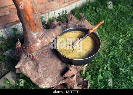 Purée d'ortie sur un journal dans un village jardin Banque D'Images