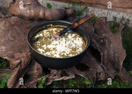 Purée d'ortie avec circuit de refroidissement sur une bûche de fromage Banque D'Images
