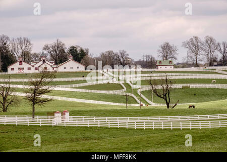 Scène pastorale dans le pâturin du Kentucky country, avec chevaux qui broutent ici et là dans les paddocks avec clôtures blanc longue de près de granges blanches sous un ciel couvert da Banque D'Images
